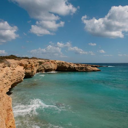 דירות Dafnis קופוניסיה מראה חיצוני תמונה